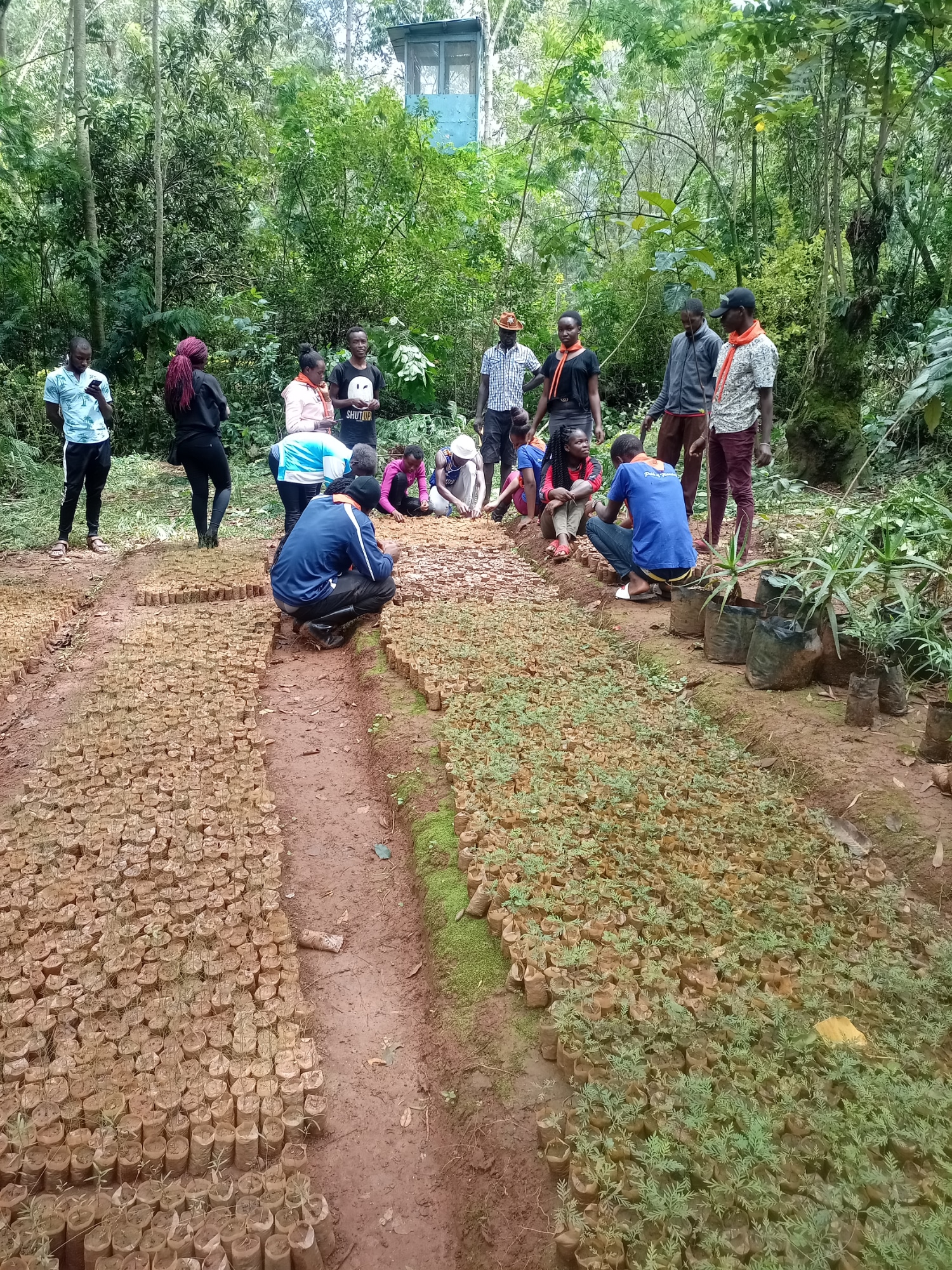 Climate Smart Agriculture