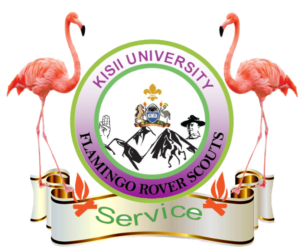 Kisii University Scouts